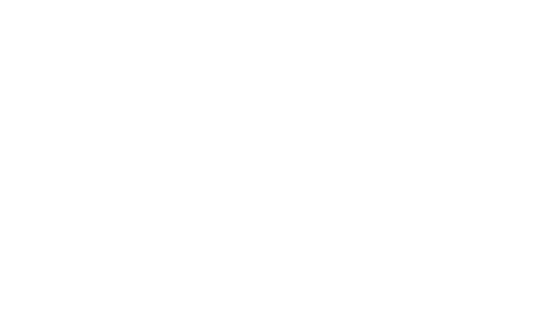 WL101 网络寻呼站